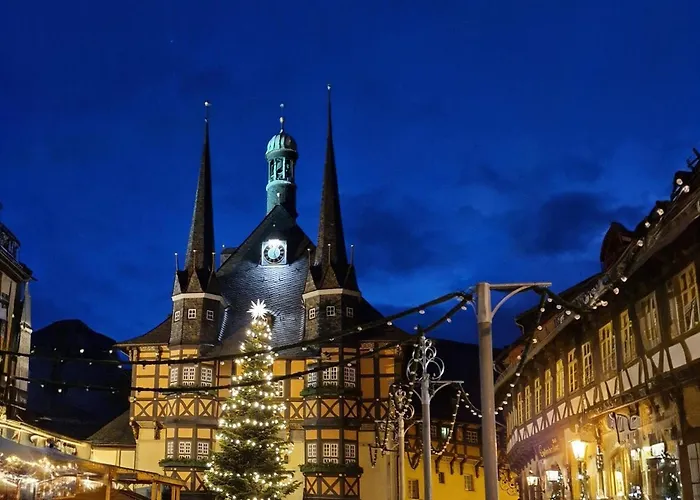 Elegante Altbauwohnung Mit Schlossblick Und Parkplatz Daire